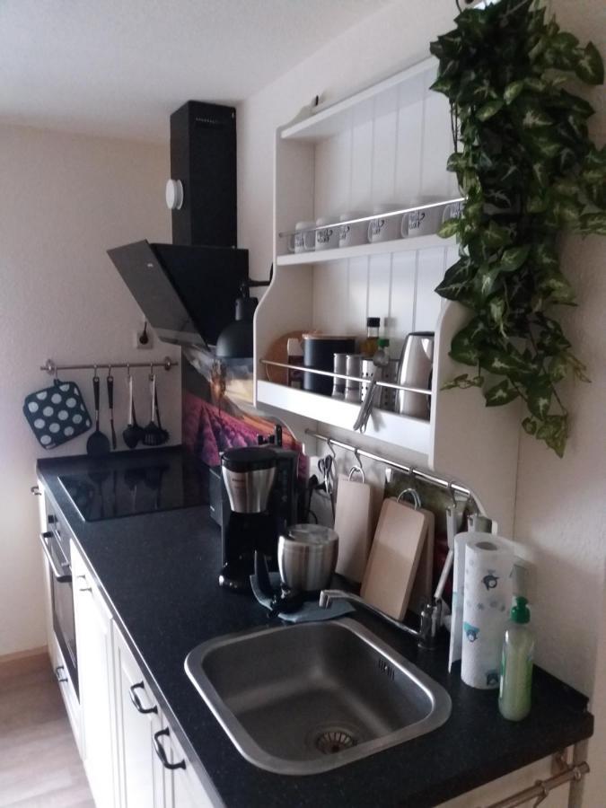 Ferienwohnung Auf Dem Land Dittersbach 외부 사진